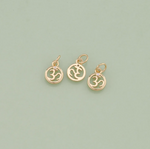 Load image into Gallery viewer, AUM CHARM