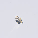 Load image into Gallery viewer, BUTTERFLY CHARM
